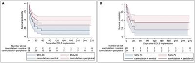 Postcardiotomy Veno-Arterial Extracorporeal Membrane Oxygenation: Does the Cannulation Technique Influence the Outcome?